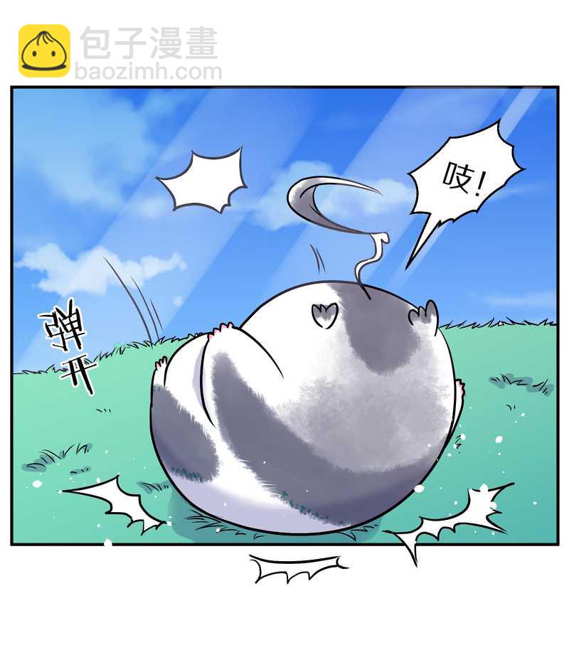 毛球星传说 第95集(1/3)-第95话