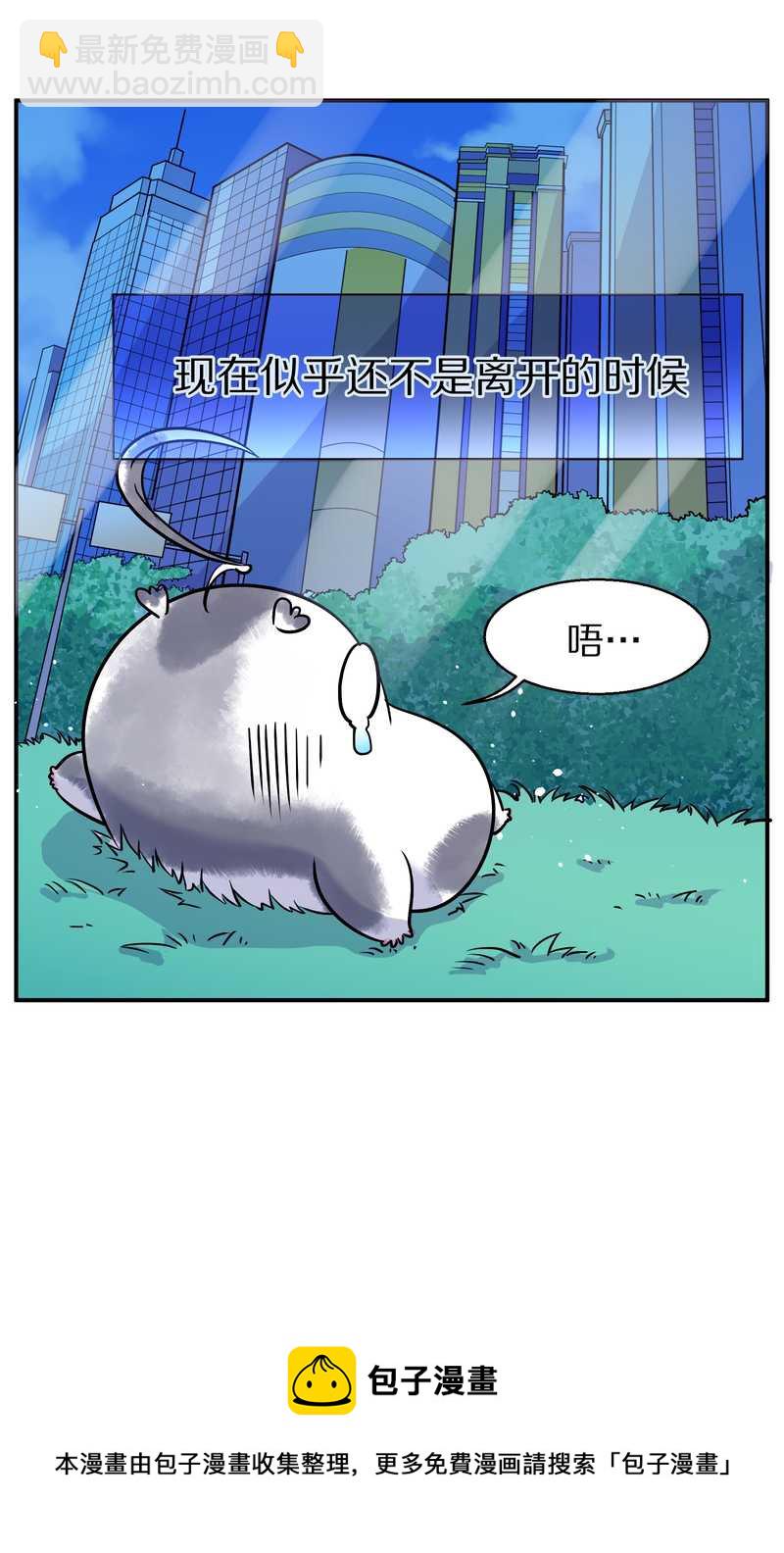 毛球星传说 第95集(1/3)-第95话
