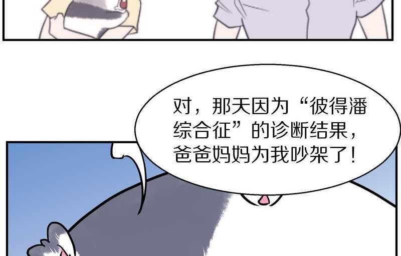 毛球星传说 第95集(1/3)-第95话