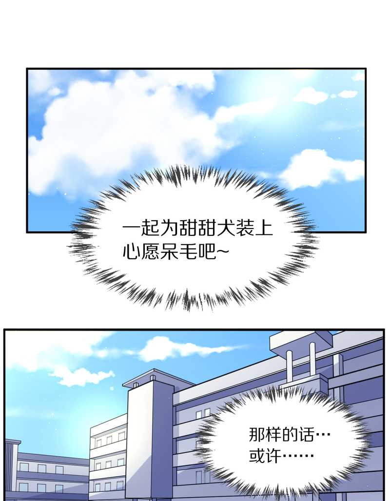 毛球星传说 第97集(1/2)-第97话