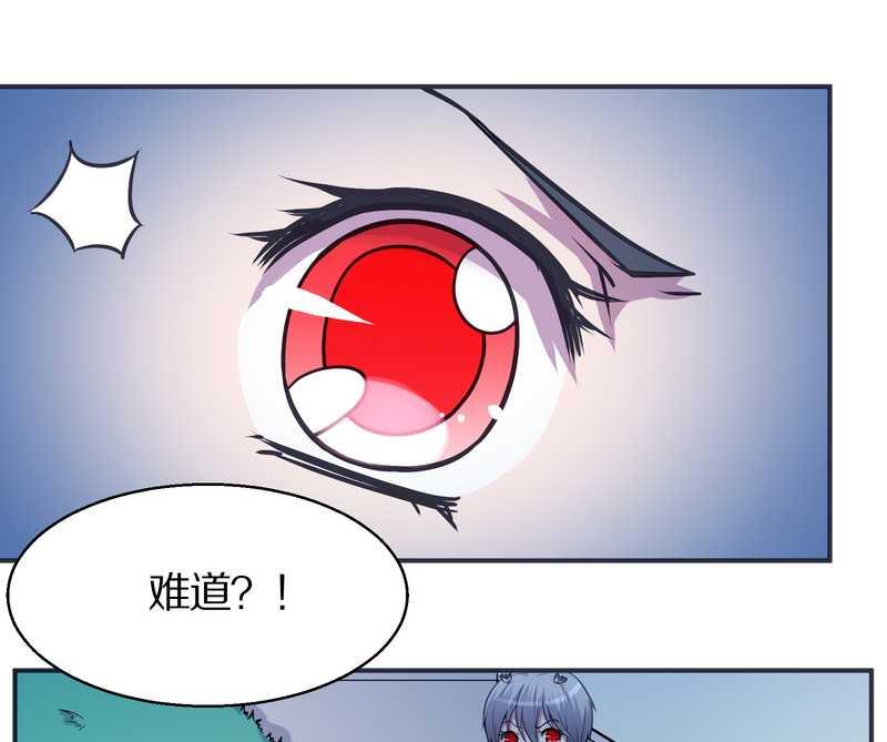 毛球星传说 第99集(1/3)-第99话