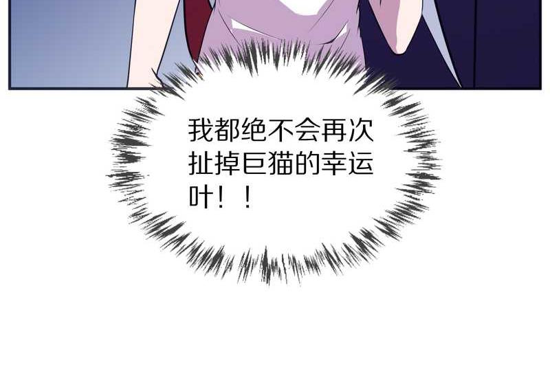 毛球星传说 第99集(1/3)-第99话
