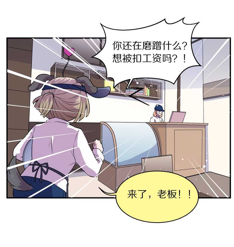 毛球星传说 第99集(1/3)-第99话