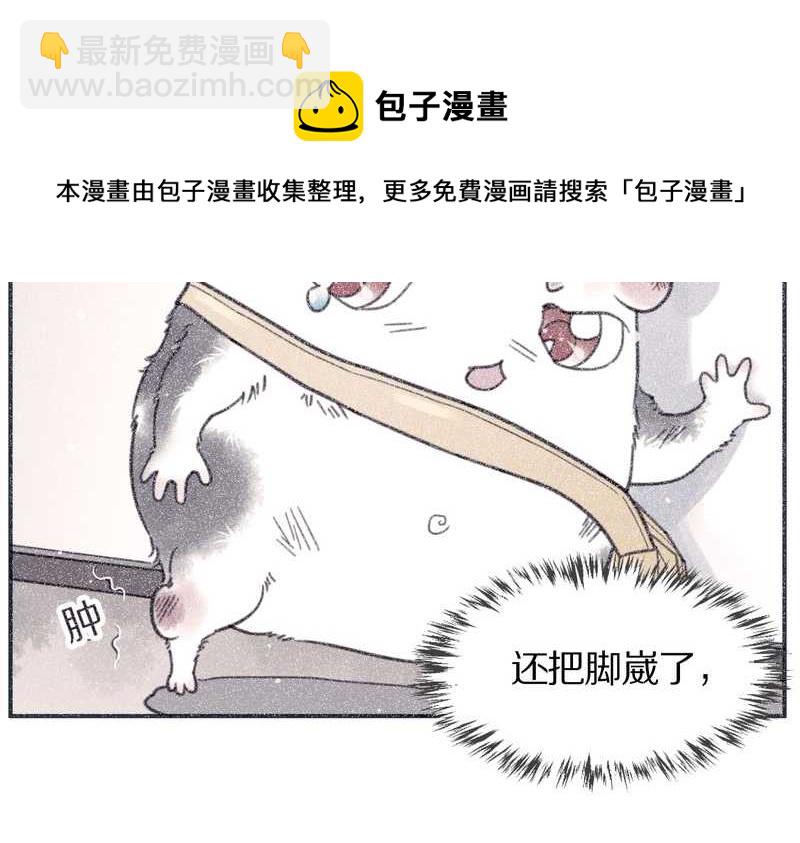 毛球星传说 第99集(1/3)-第99话