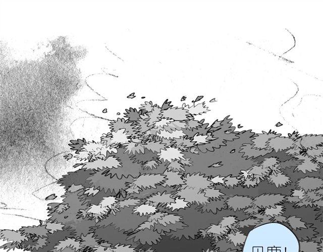 第41话 恋爱的花儿开了(1/2)-第41话