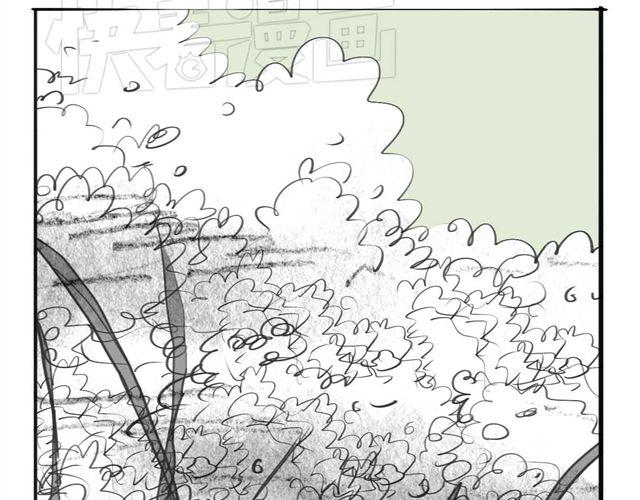 第47话 找到贝鹿了！(1/2)-第47话