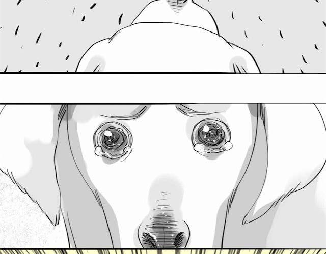 第58话 一起去散步-第57话