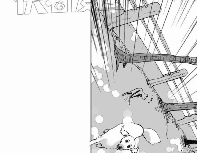 第58话 一起去散步-第57话