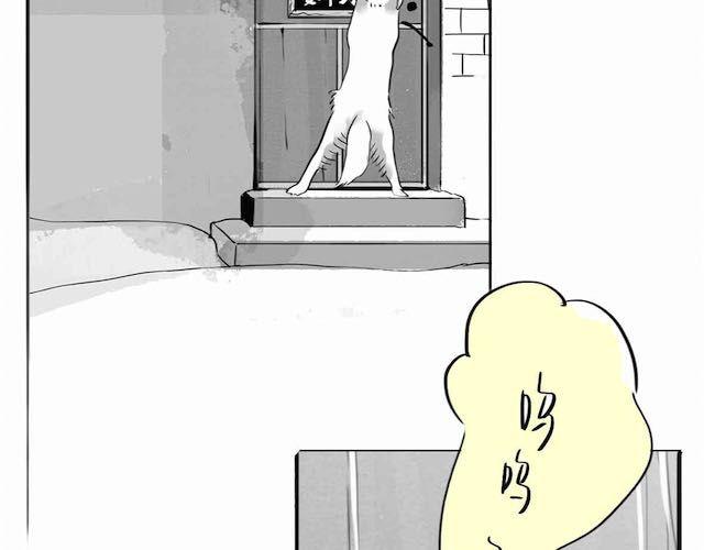 第58话 一起去散步-第57话