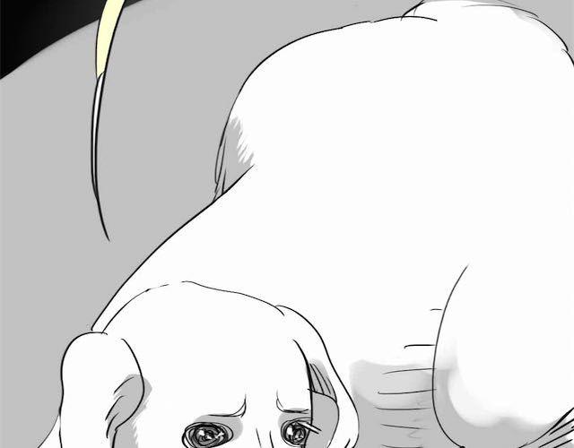 第58话 一起去散步-第57话