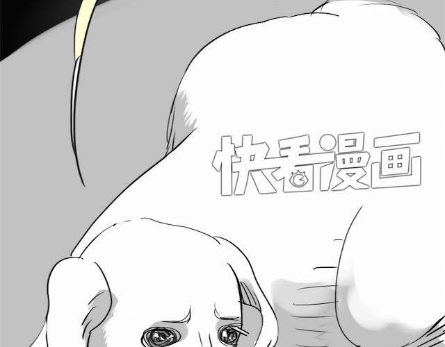 第58话 一起去散步-第57话