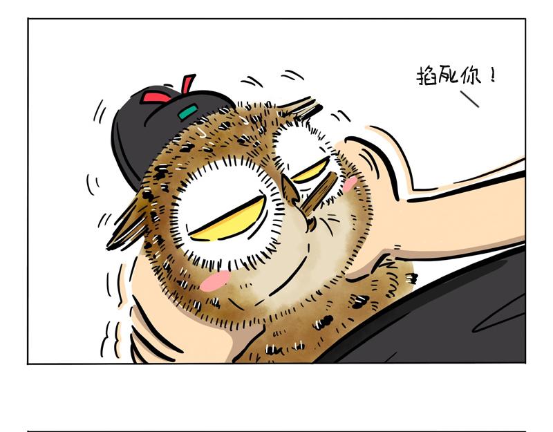 第15话 10大解暑妙招-第15话