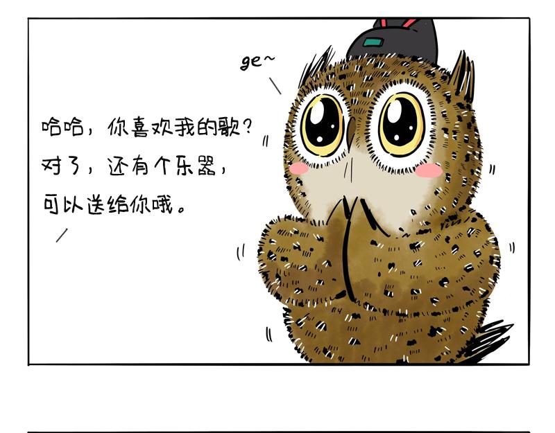 猫头鹰乐队成立-第19话
