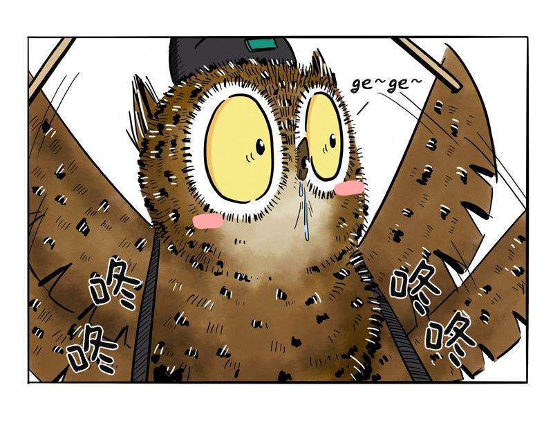 猫头鹰乐队成立-第19话