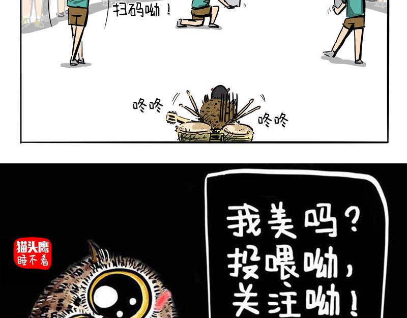 猫头鹰乐队成立-第19话