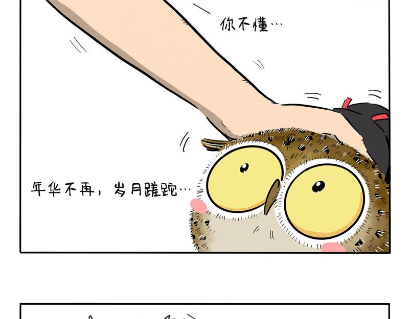 第25话 老大的往事-第25话