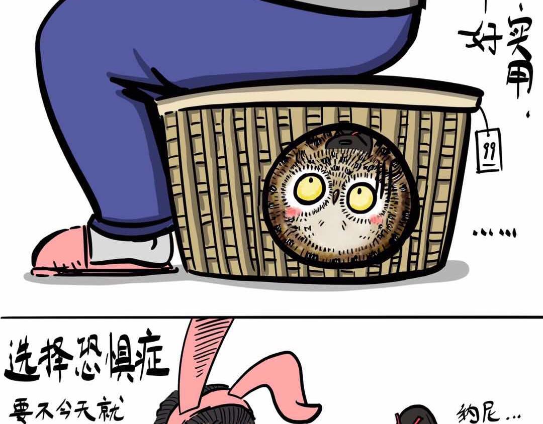 给小夜猫子做个窝-第3话