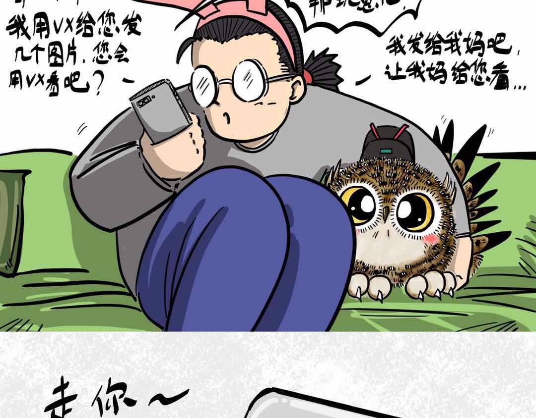 给小夜猫子做个窝-第3话