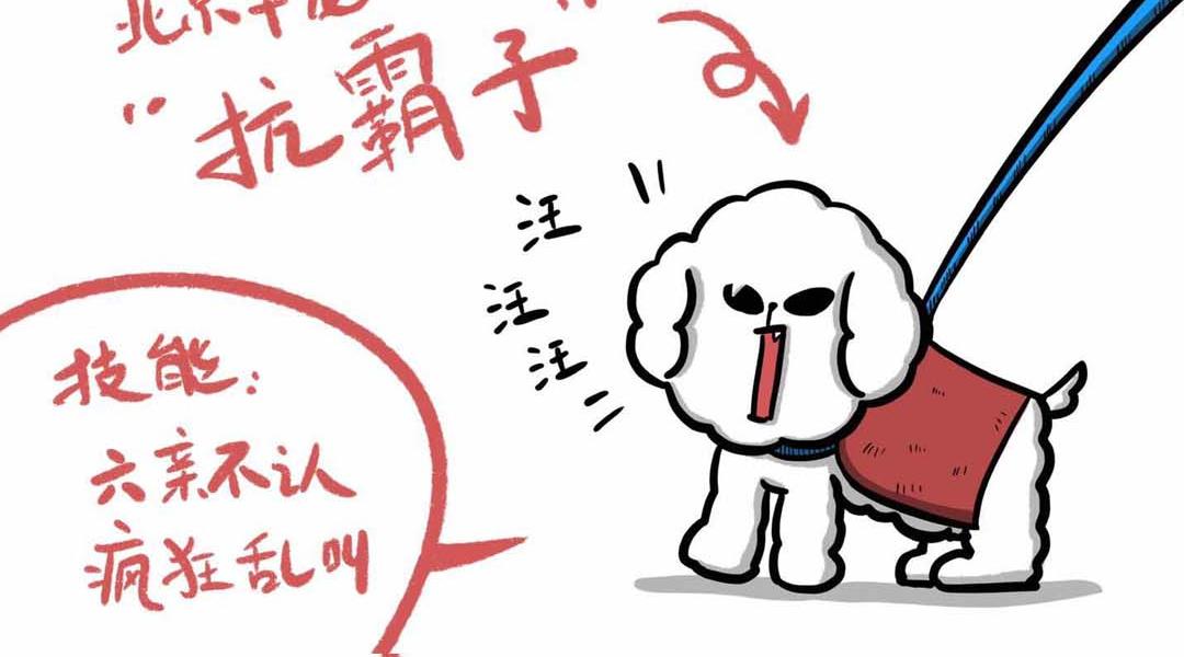给小夜猫子做个窝-第3话