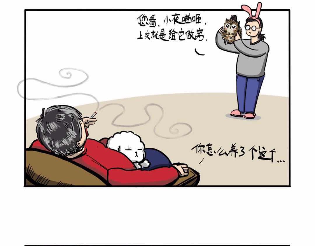 给小夜猫子做个窝-第3话