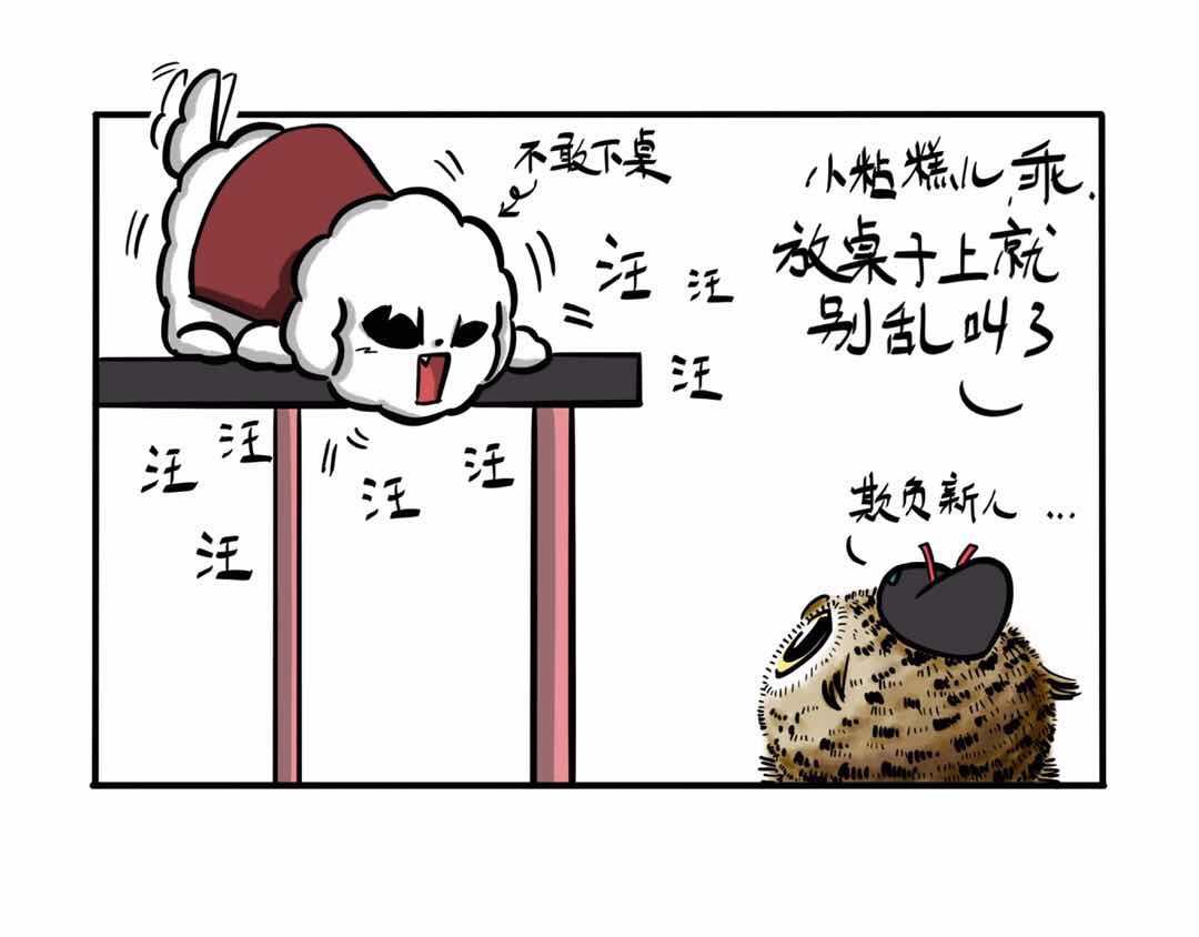给小夜猫子做个窝-第3话