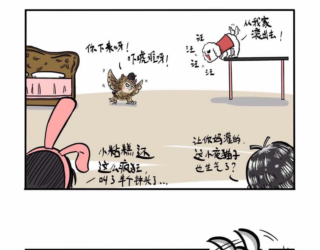 给小夜猫子做个窝-第3话