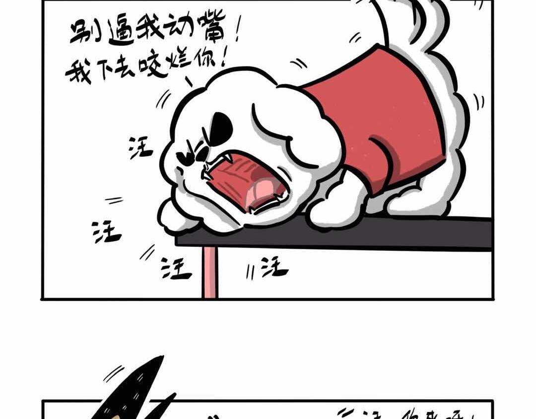 给小夜猫子做个窝-第3话