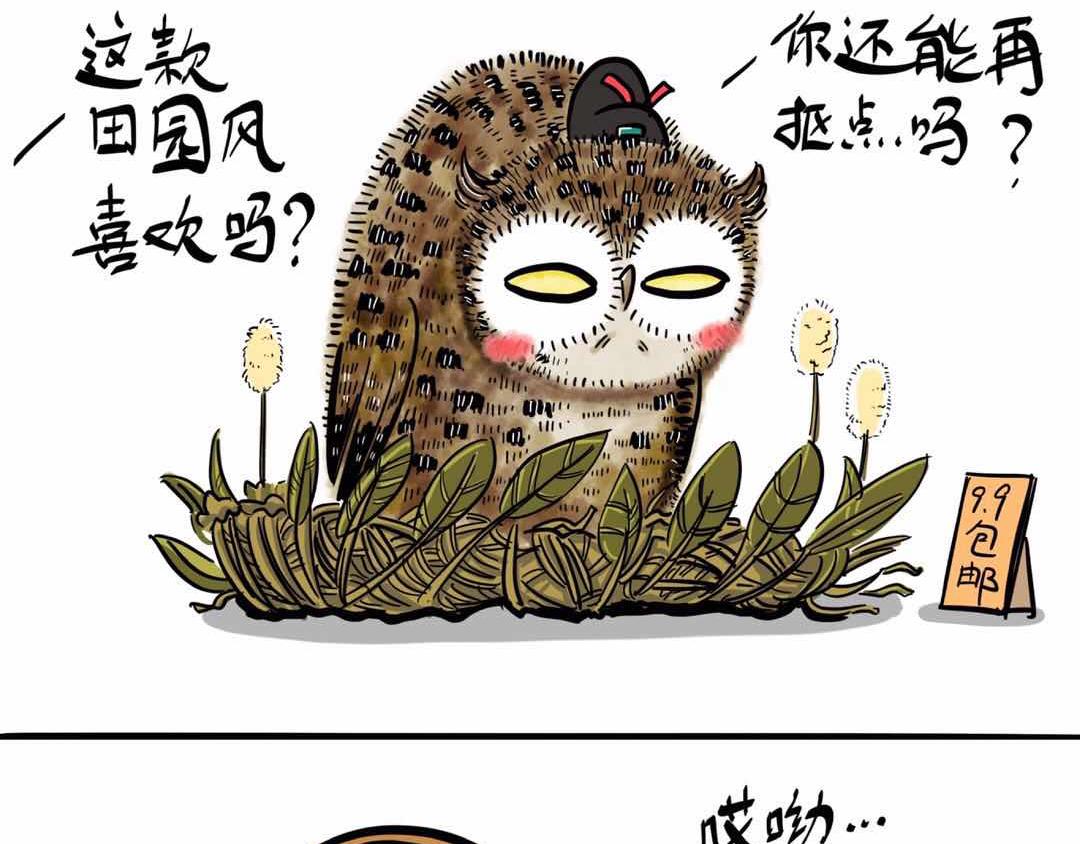 给小夜猫子做个窝-第3话