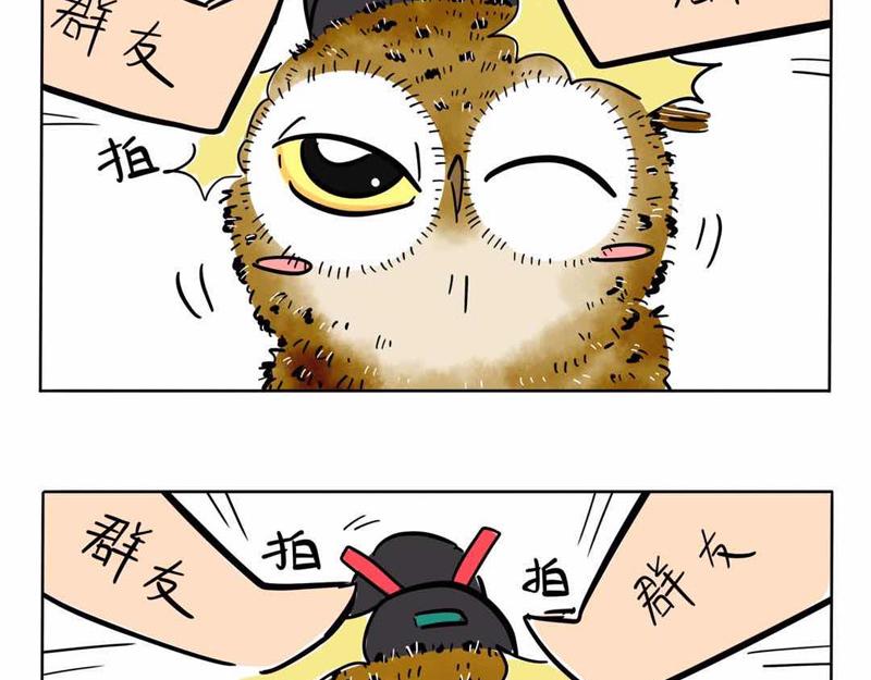 半年以来杂图更新-第33话