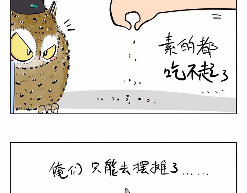 半年以来杂图更新-第33话