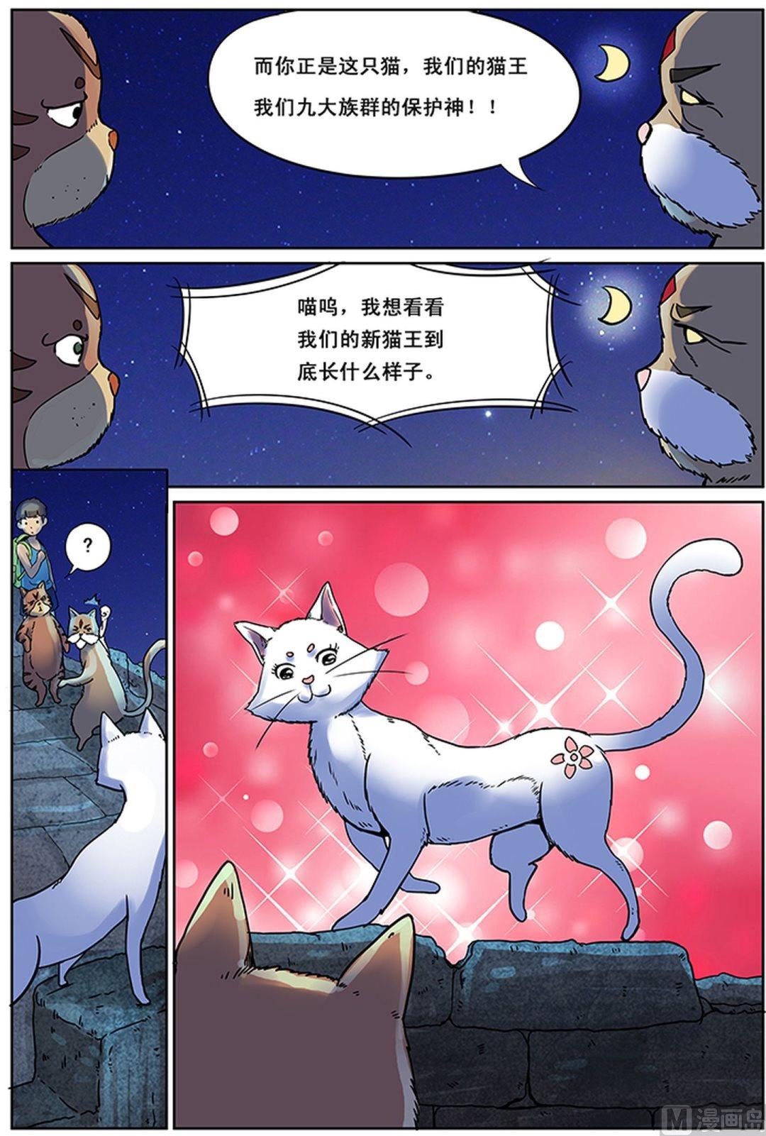 🍟猫侠 第3话 下 第7页