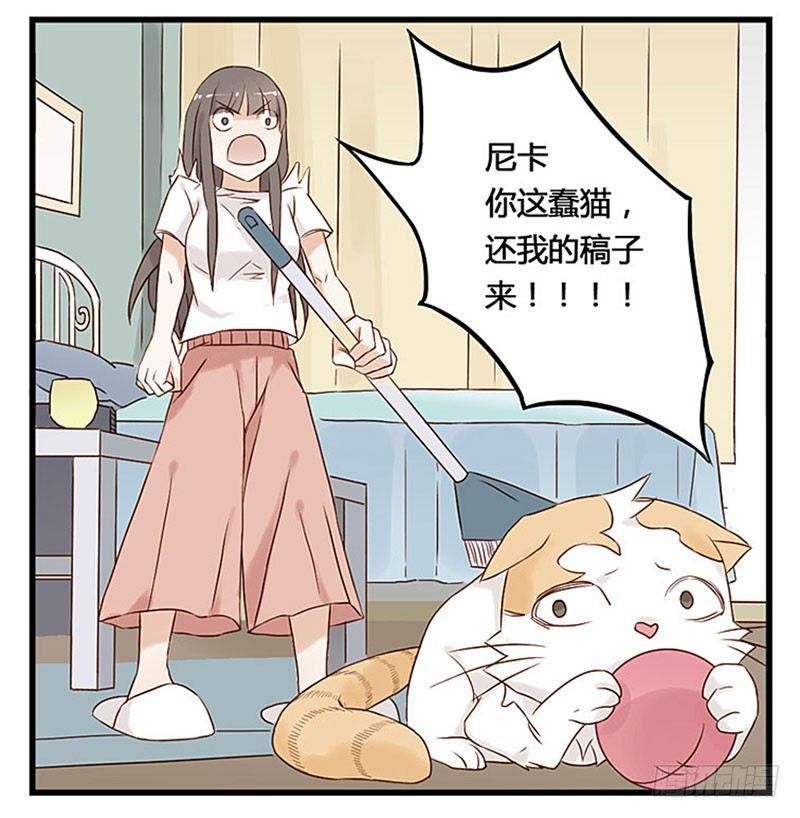 第十一话 周末与猫-第11话