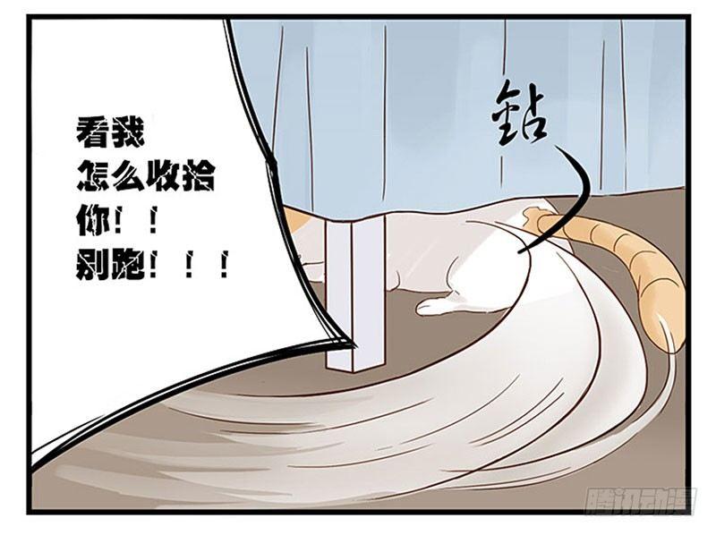 第十一话 周末与猫-第11话