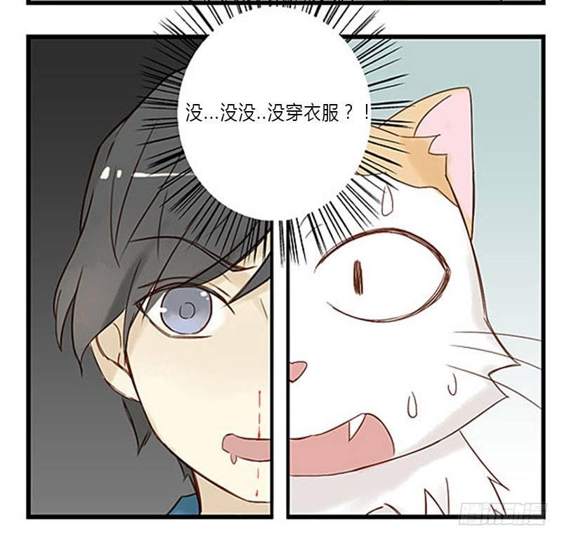 第十五话 尼卡的改变-第15话