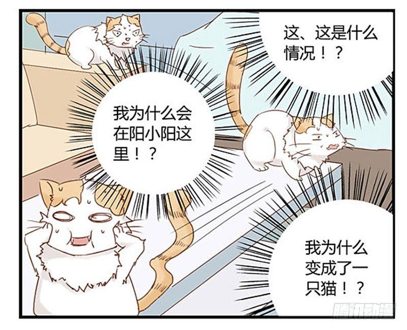 第十五话 尼卡的改变-第15话