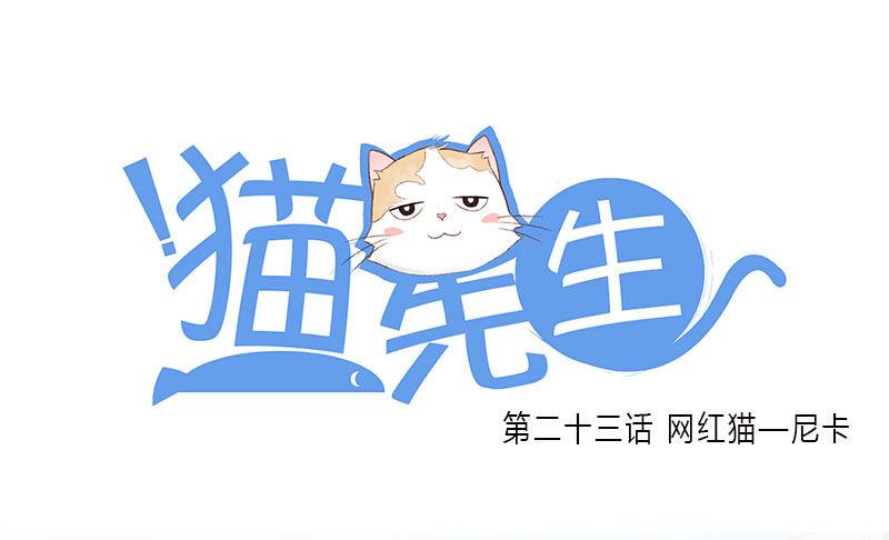 第二十三话 网红猫尼卡-第23话