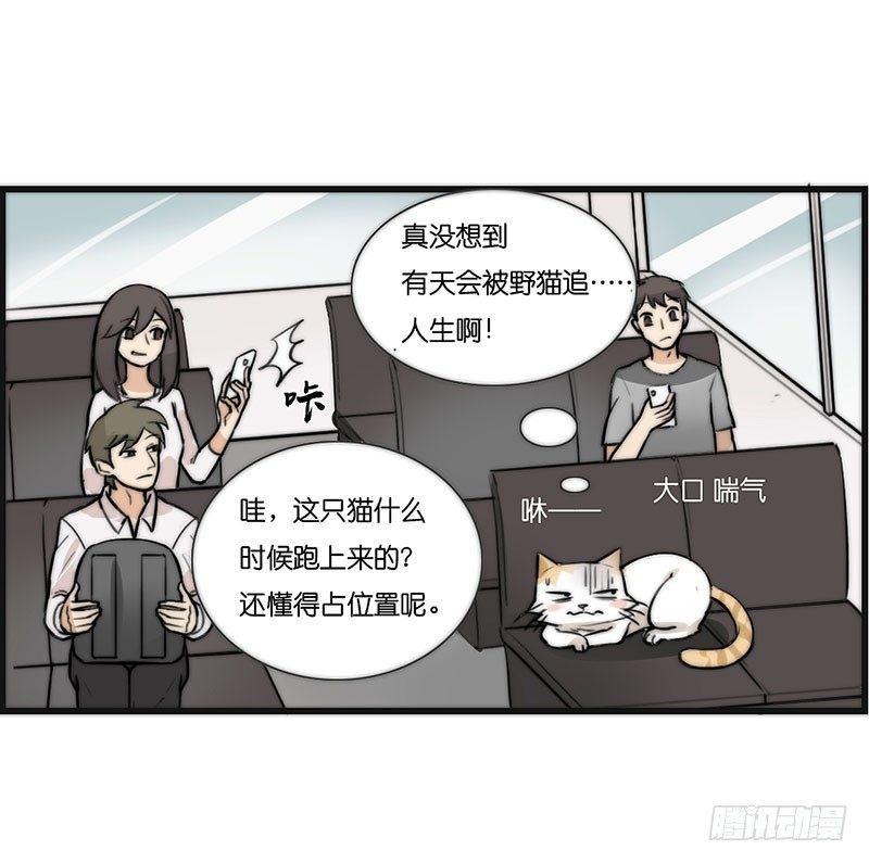 第二十三话 网红猫尼卡-第23话
