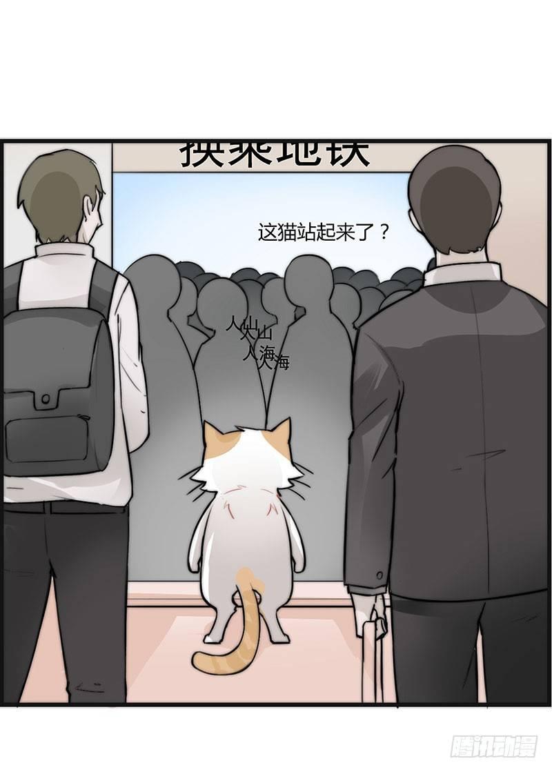 第二十三话 网红猫尼卡-第23话