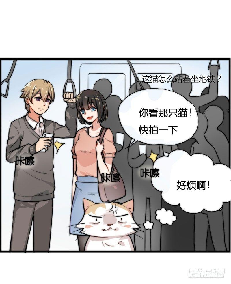 第二十三话 网红猫尼卡-第23话