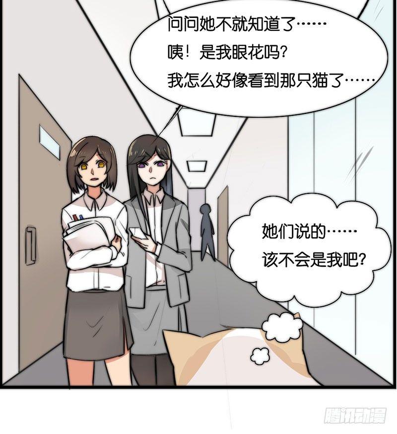 第二十三话 网红猫尼卡-第23话