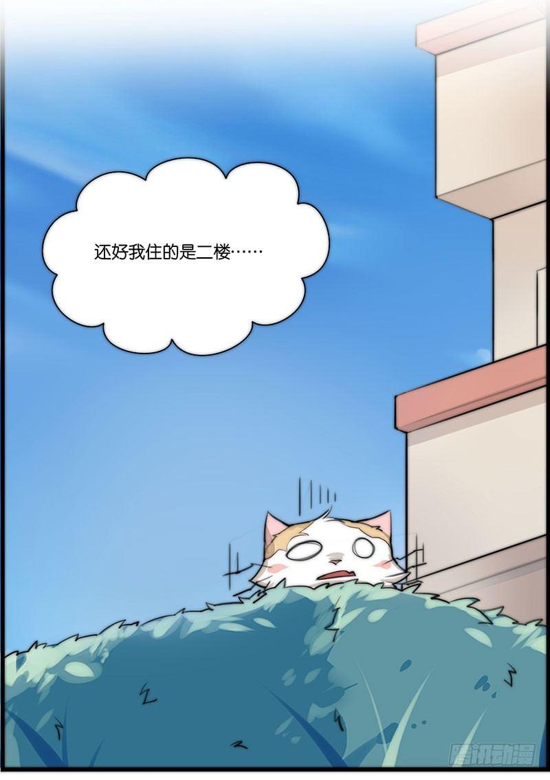 第二十三话 网红猫尼卡-第23话