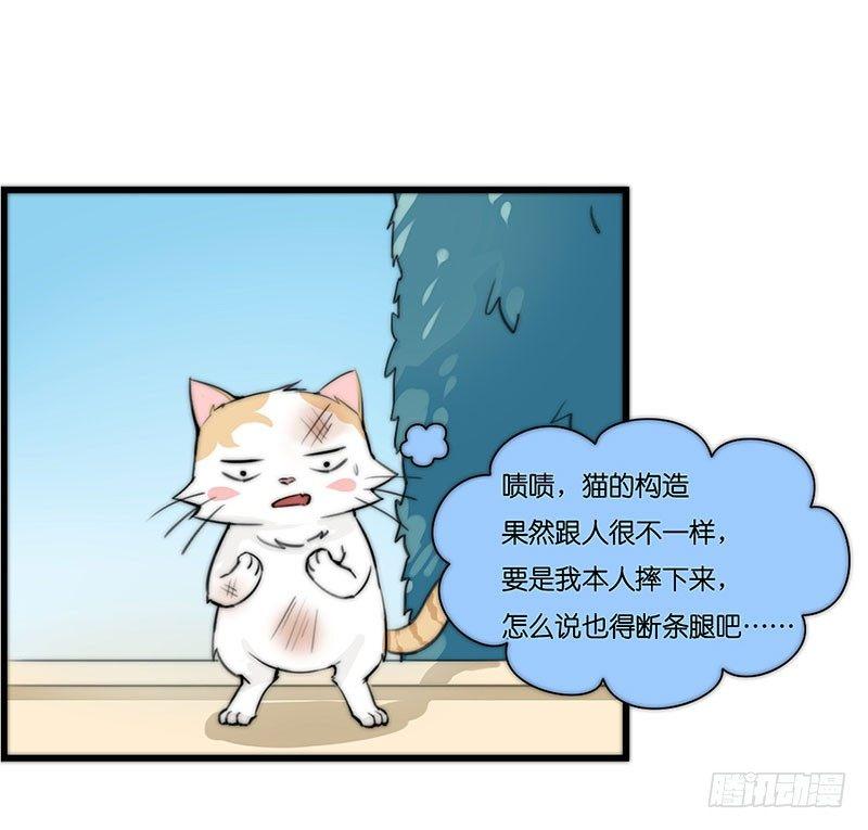 第二十三话 网红猫尼卡-第23话
