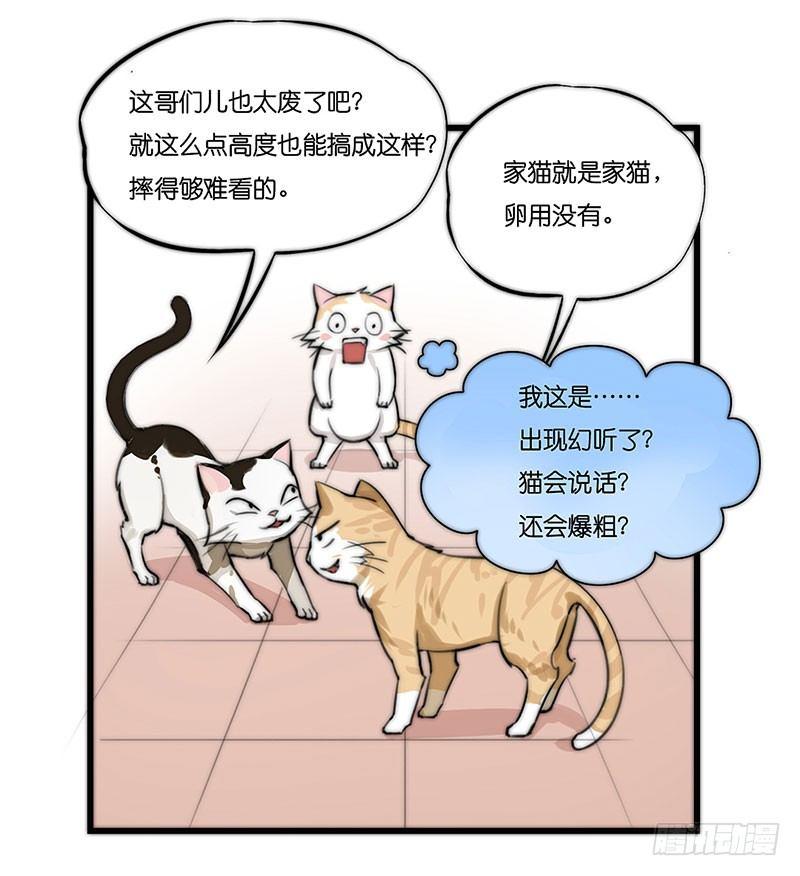 第二十三话 网红猫尼卡-第23话