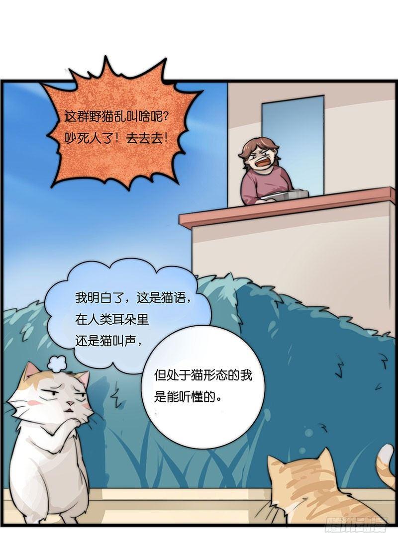 第二十三话 网红猫尼卡-第23话
