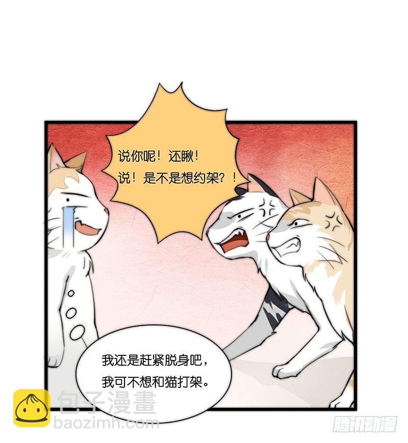 第二十三话 网红猫尼卡-第23话