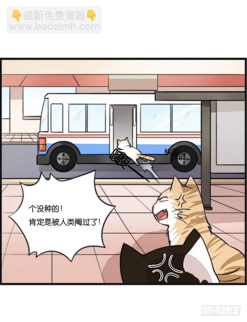 第二十三话 网红猫尼卡-第23话