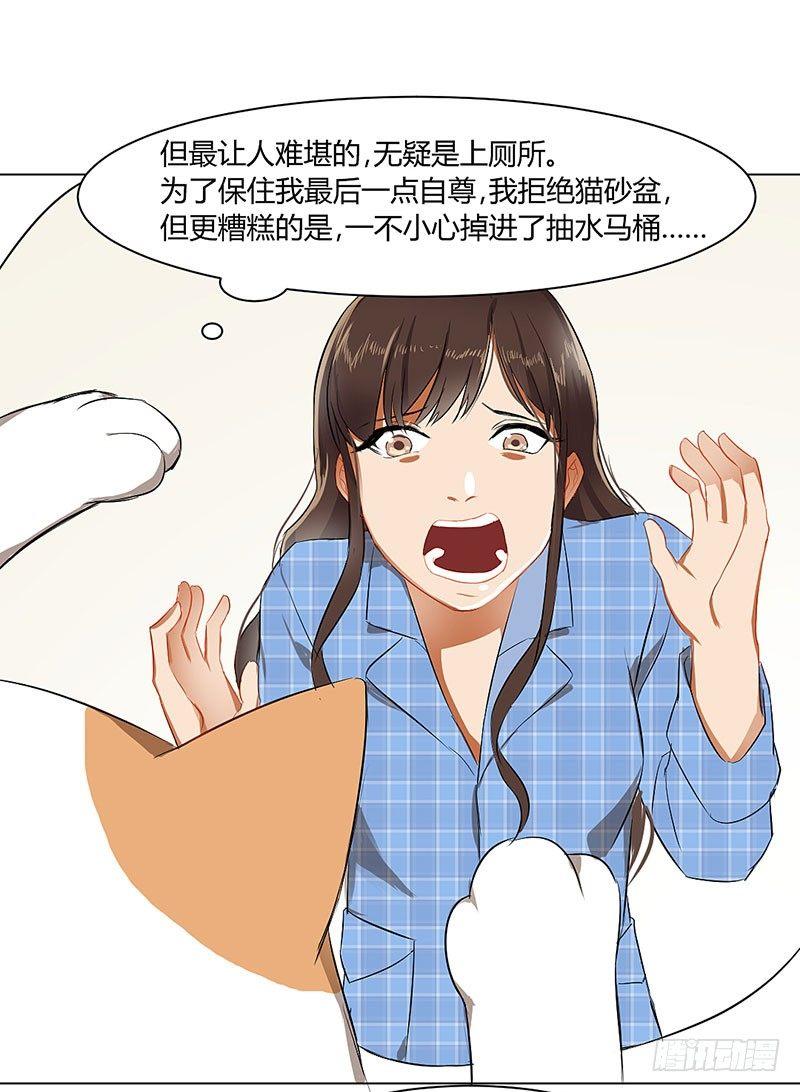第三十三话 护花使者-第33话