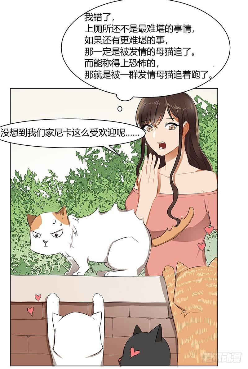 第三十三话 护花使者-第33话