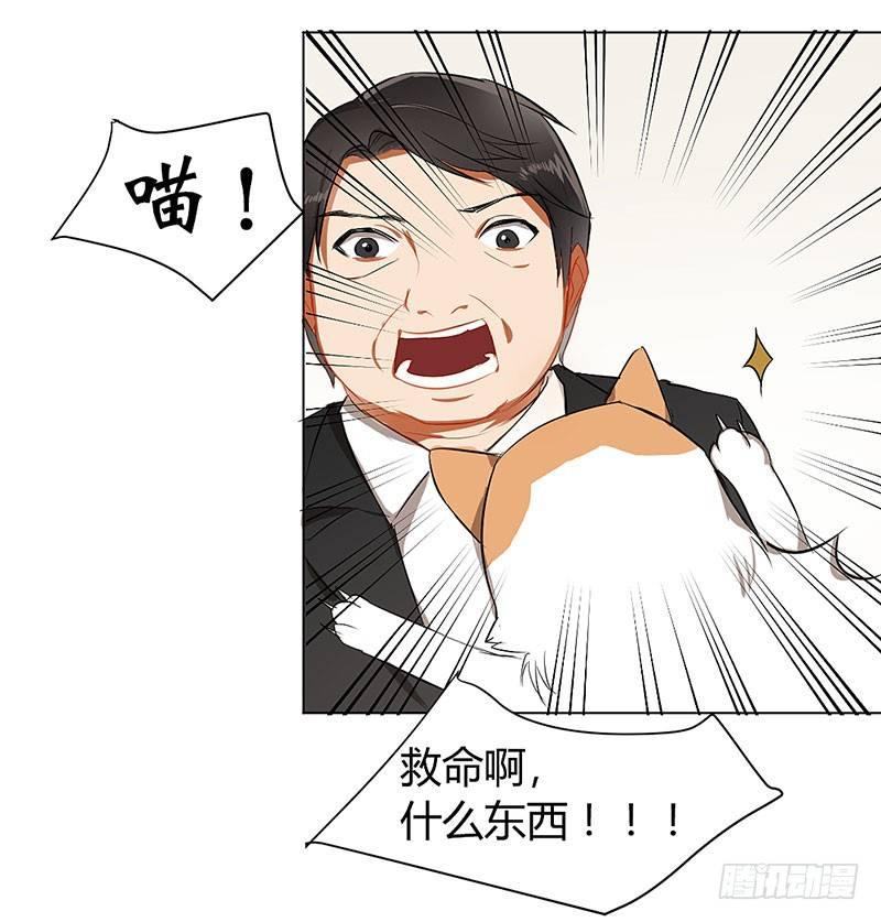 第三十三话 护花使者-第33话