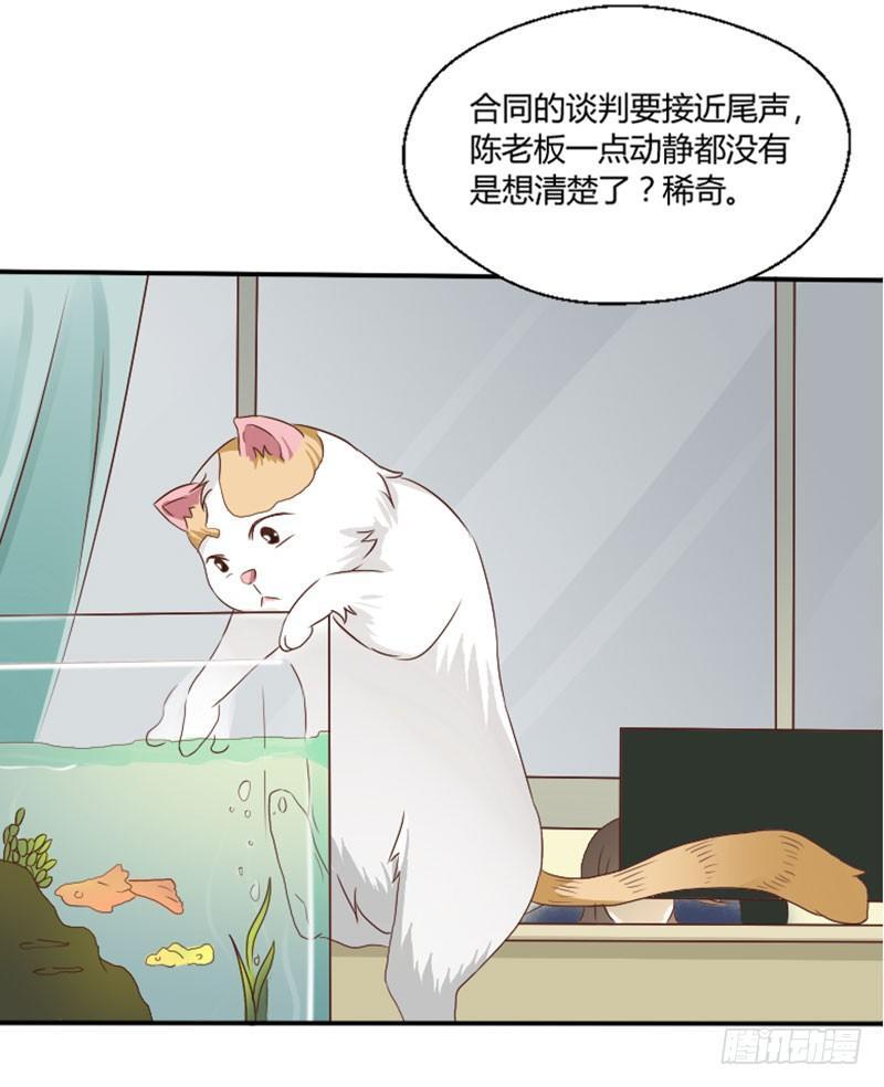 第三十五话 背叛者-第35话